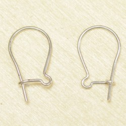 Boucles d'Oreilles Grandes Dormeuses 15mm - Argenté - La Paire