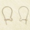 Boucles d'Oreilles Grandes Dormeuses 15mm - Argenté - La Paire