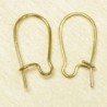 Boucles d'Oreilles Grandes Dormeuses 15mm - Doré - La Paire