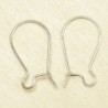 Boucles d'Oreilles Grandes Dormeuses 18mm - Argenté - La Paire