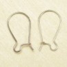 Boucles d'Oreilles Grandes Dormeuses 18mm - Argenté Foncé - La Paire