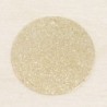 Sequin en métal - Rond - 25mm - Doré pailleté