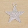 Sequin en métal - Etoile - 13x15mm - Argenté pailleté