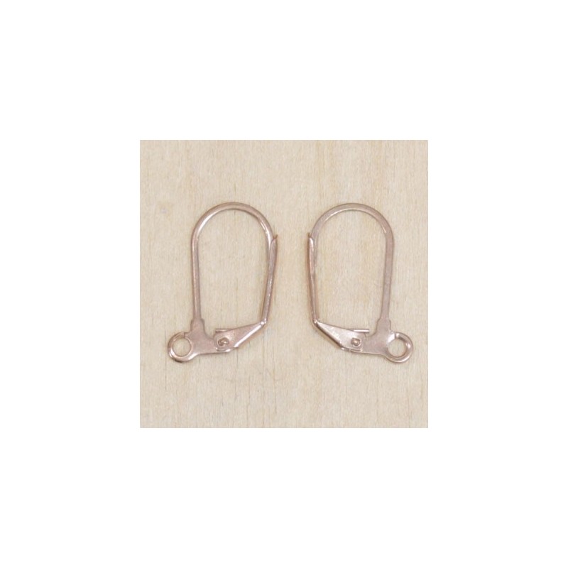 Boucles d'oreilles - Dormeuses - Acier inoxydable - Gold rose