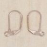 Boucles d'oreilles - Dormeuses - Acier inoxydable - Gold rose