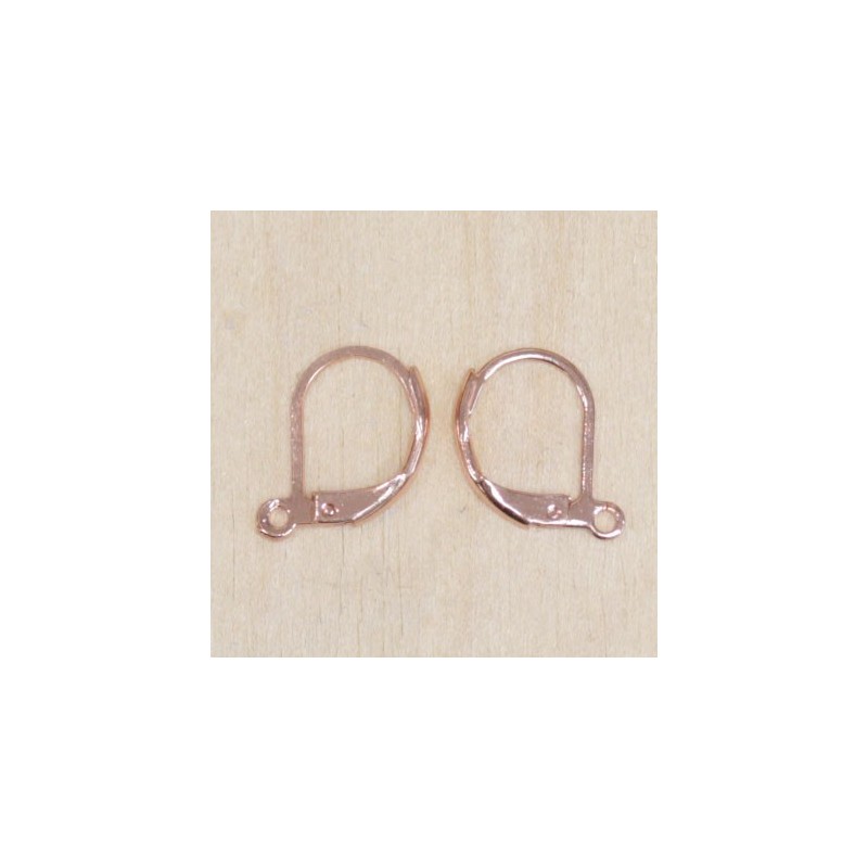 Boucles d'oreilles - Dormeuses - Acier inoxydable - Cuivre clair