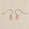 Boucles d'oreilles - Hameçons - Acier inoxydable - Cuivre clair