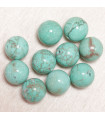 Perles en pierre naturelle ou Gemme - Howlite Teintée - 10mm - Lot de 10 perles