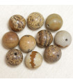 Perles en pierre naturelle ou Gemme - Jaspe Paysage - 10mm - Lot de 10 perles