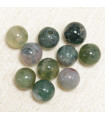 Perles en pierre naturelle ou Gemme - Agate Mousse - 6mm - Lot de 10 perles
