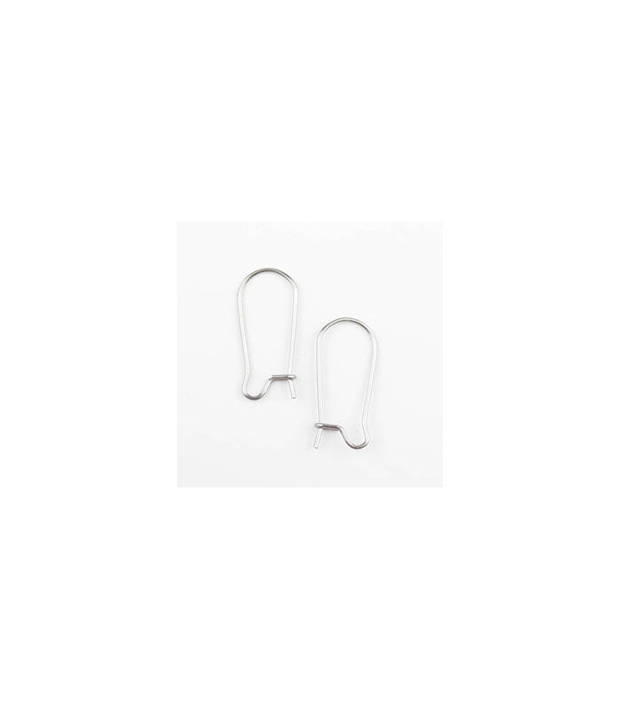 Boucles d'oreilles Grandes Dormeuses en Acier Inoxydable 20x11mm - Argenté Foncé - La Paire