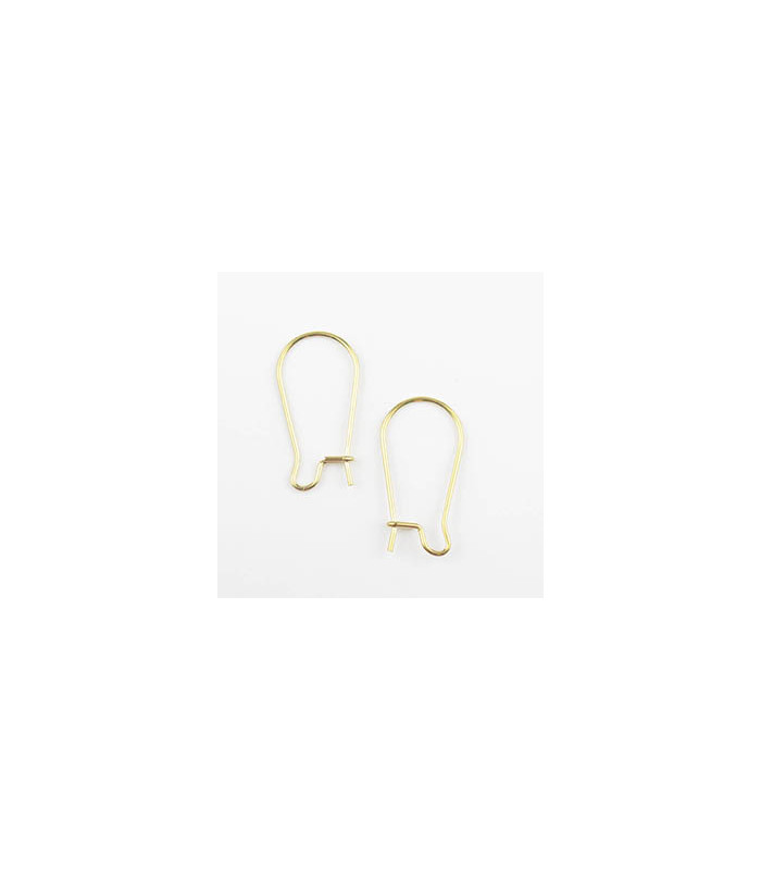 Boucles d'oreilles Grandes Dormeuses en Acier Inoxydable 20x11mm - Doré - La Paire