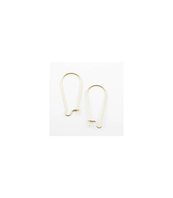 Boucles d'oreilles Grandes Dormeuses en Acier Inoxydable 25x11mm - Doré - La Paire