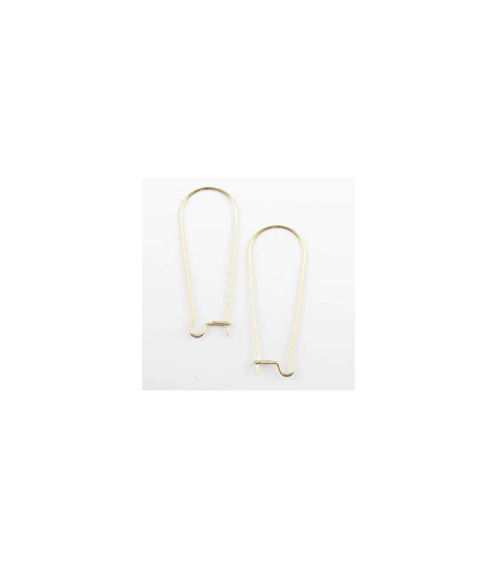 Boucles d'oreilles Grandes Dormeuses en Acier Inoxydable 32x12mm - Doré - La Paire